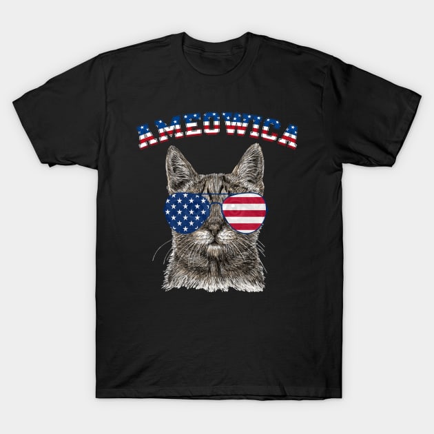 Ameowica top